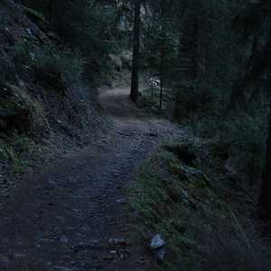 munt_baselgia_49