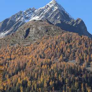 munt_baselgia_53
