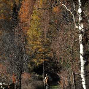 munt_baselgia_55