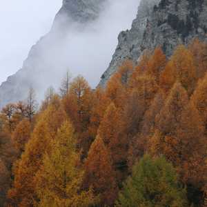 muotta_radonda_00