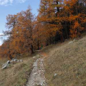 muotta_radonda_01