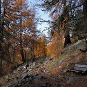 muotta_radonda_02