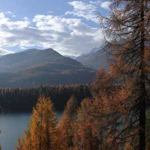 muotta_radonda_03