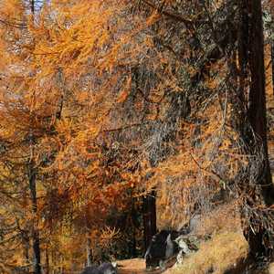 muotta_radonda_08