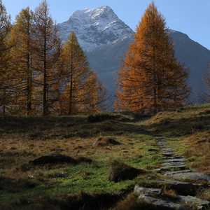 muotta_radonda_14