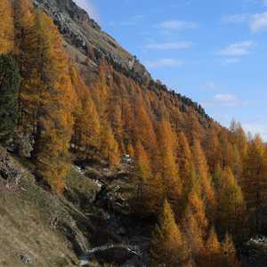 muotta_radonda_15
