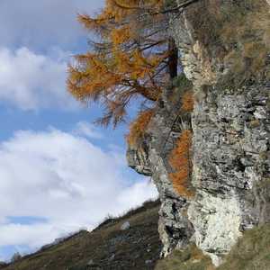 muotta_radonda_19