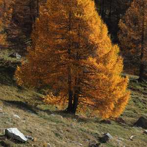 muotta_radonda_21