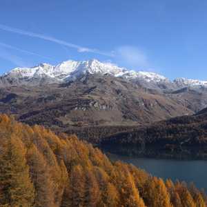 muotta_radonda_40