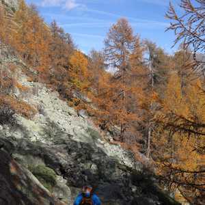 muotta_radonda_41