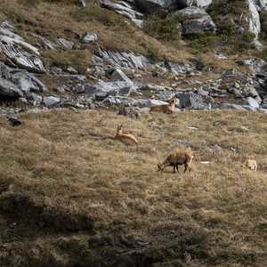 muttseehuette_sac_2022-032
