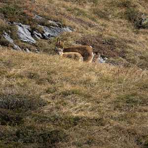 muttseehuette_sac_2022-033