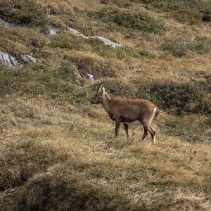 muttseehuette_sac_2022-034