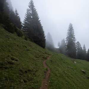 planggenstock-18