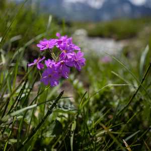 windgaellenhuette_day_1-14