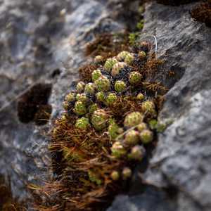windgaellenhuette_day_1-46