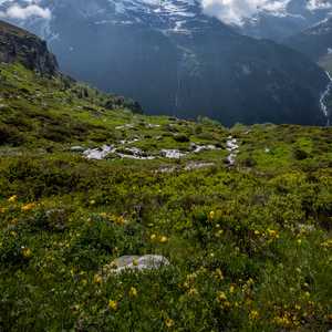windgaellenhuette_day_2-09